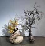 14 - Anne Breau -- Anne Breau.jpg 5.5K